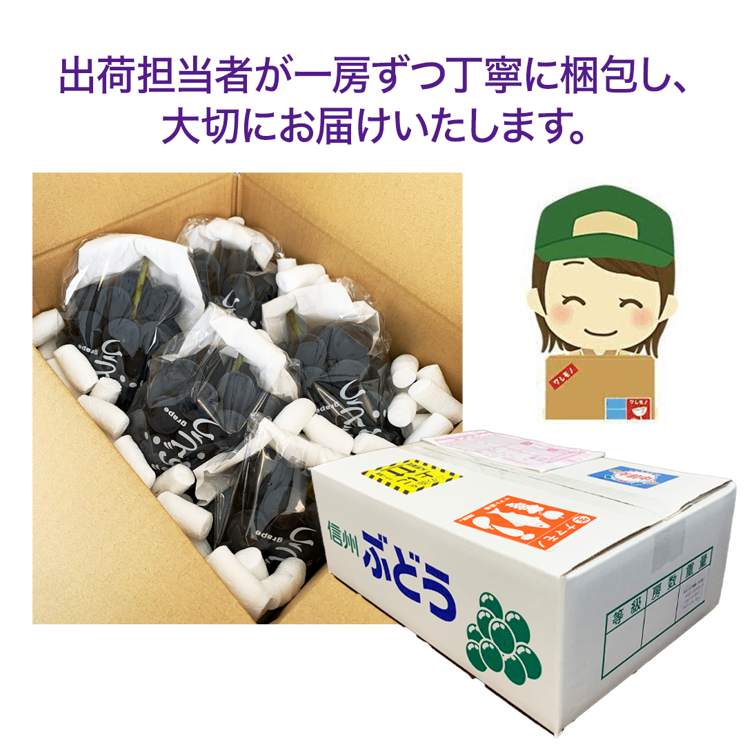 ナガノパープル