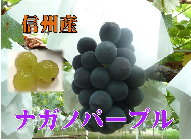 ぶどう,ナガノパープル,皮まで食べらたれる,種なし