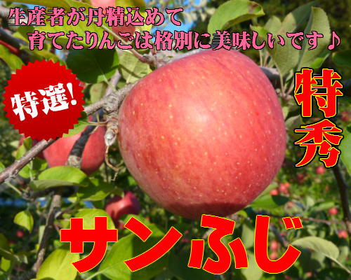ご贈答用,信州長野県産,りんご,サンふじ