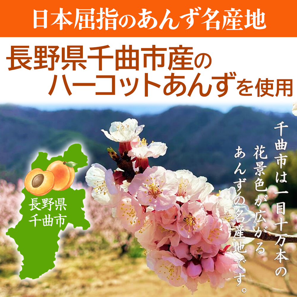 深干し仕立て 至高の干しあんず 千曲市産ハーコット使用