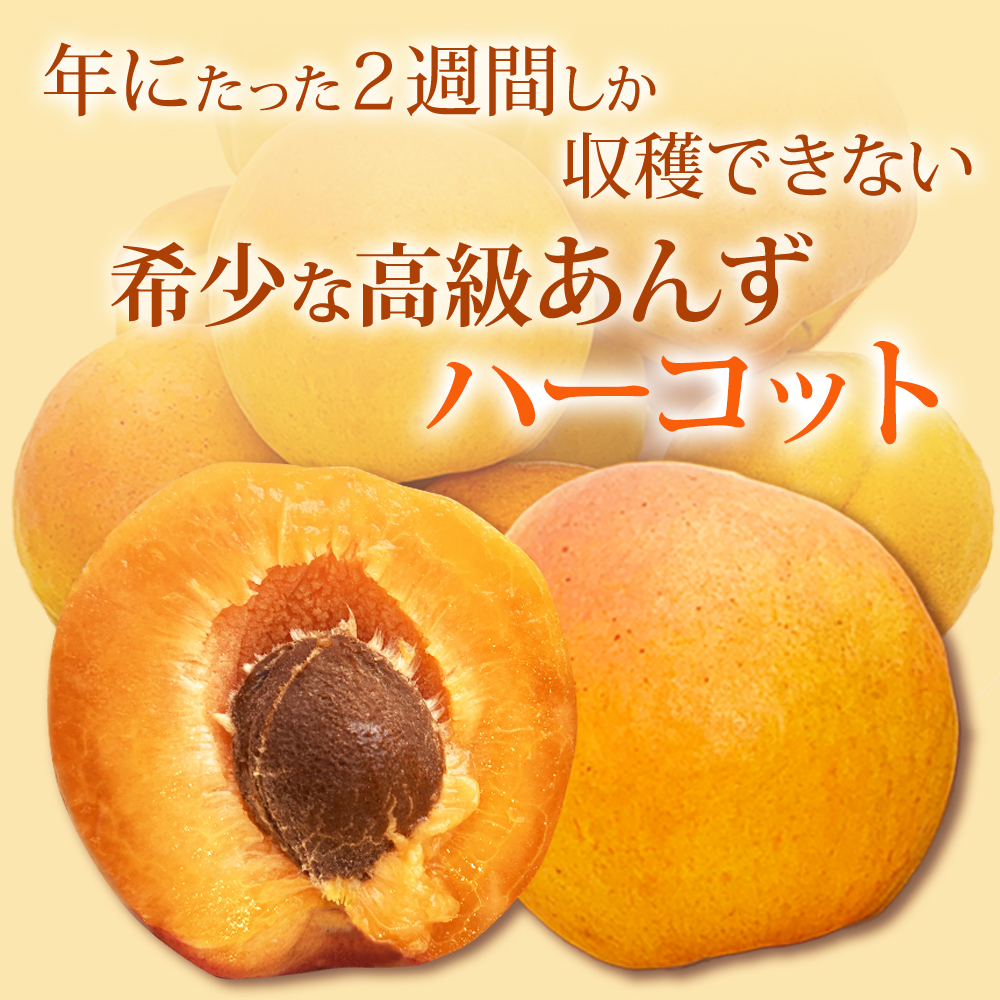 深干し仕立て 至高の干しあんず 千曲市産ハーコット使用