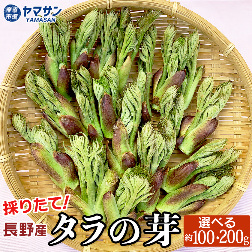 たらの芽