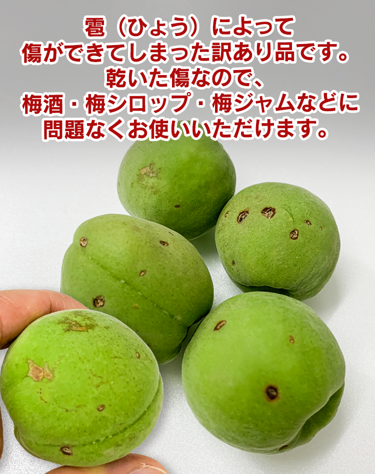 訳あり豊後梅3kg