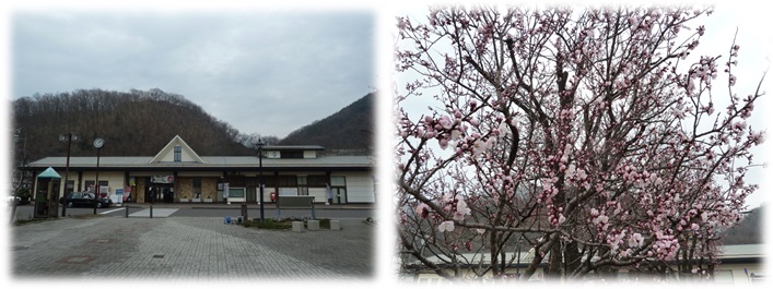 屋代駅,杏の花